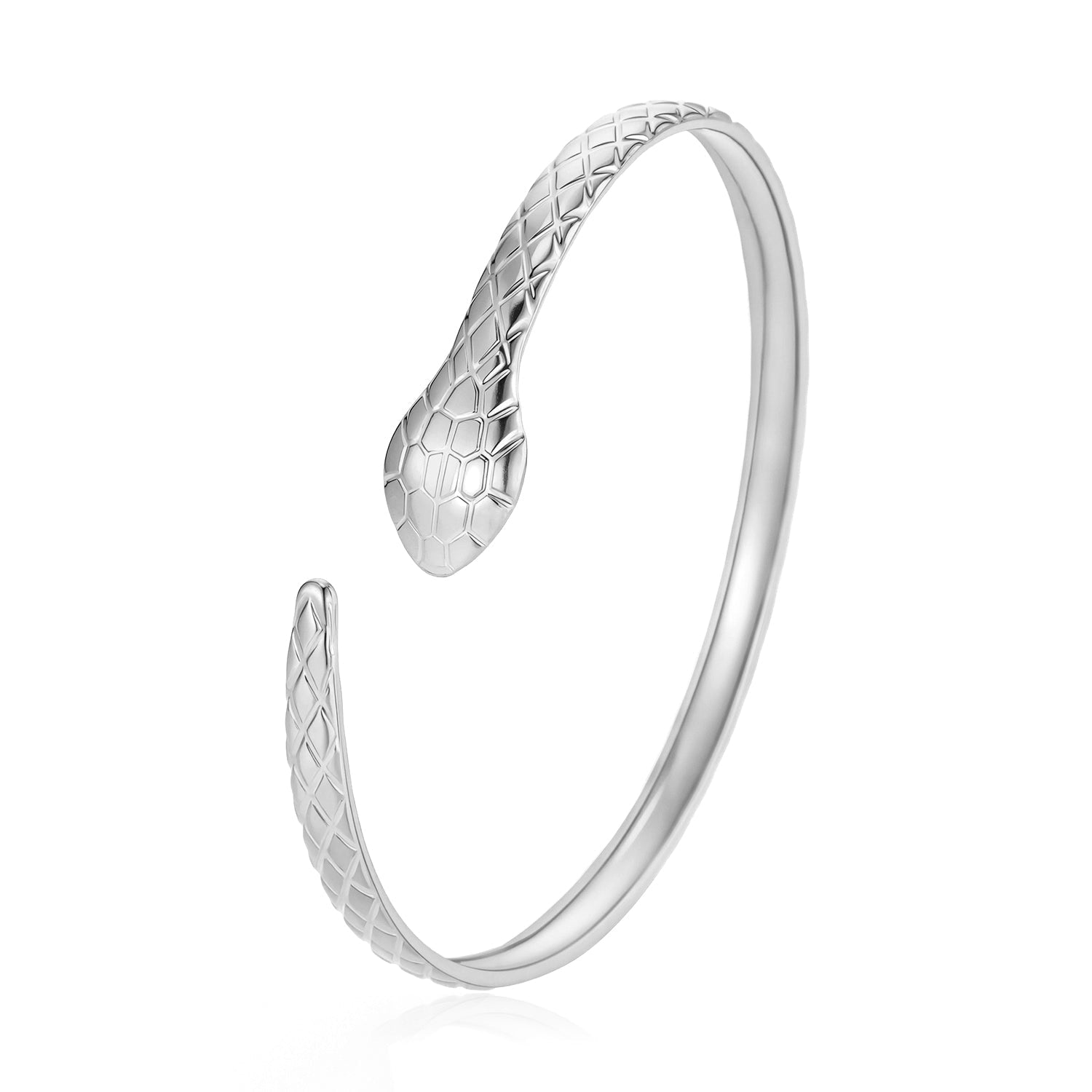 Bangle slang zilver - Desieradenconcurrent.nl