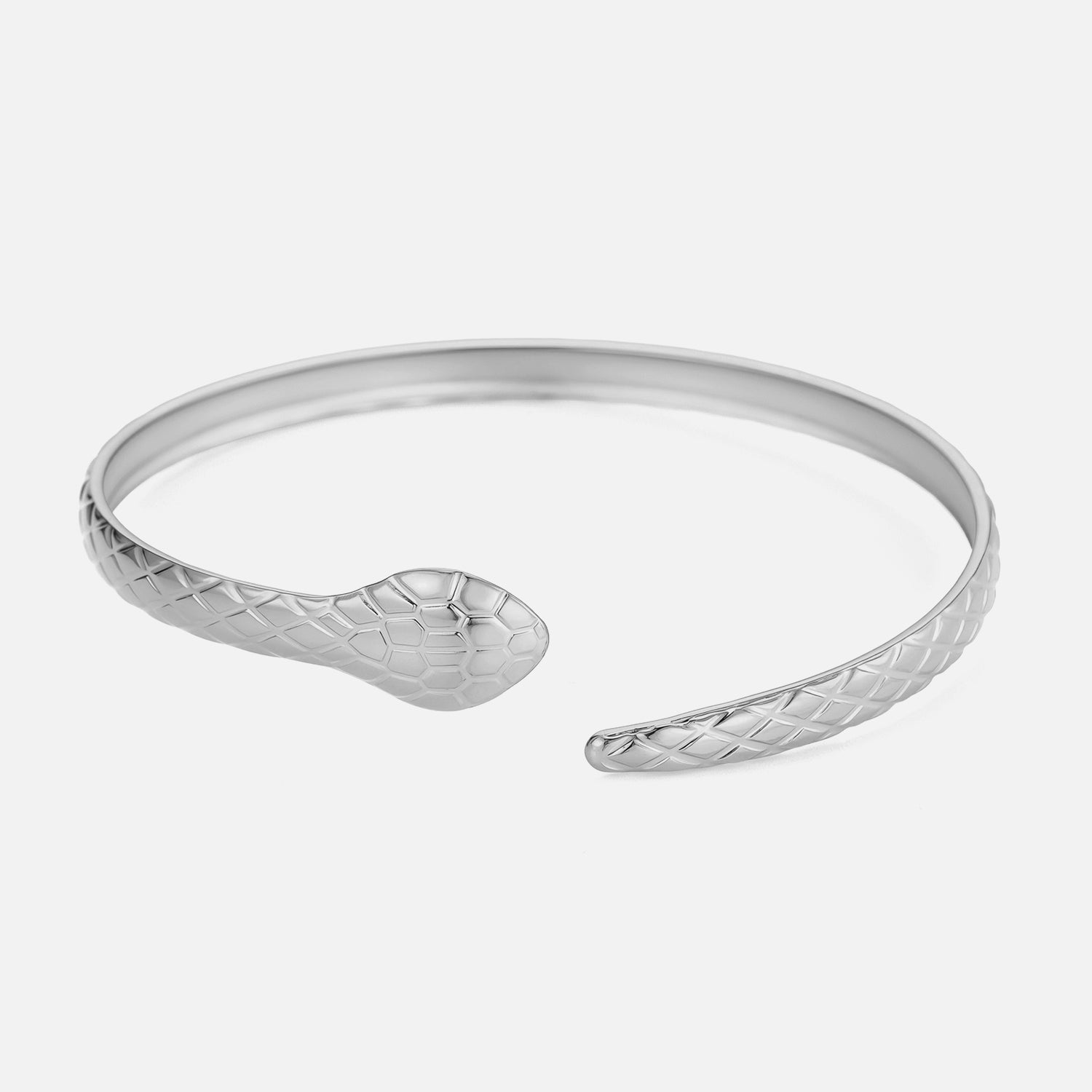 Bangle slang zilver - Desieradenconcurrent.nl