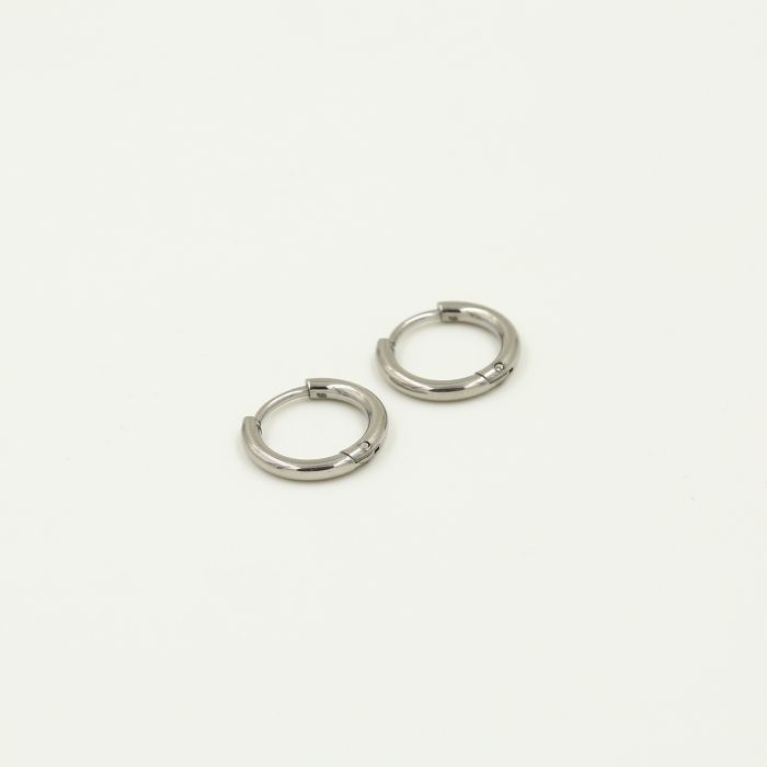 Basic ring oorbellen zilver - Desieradenconcurrent.nl