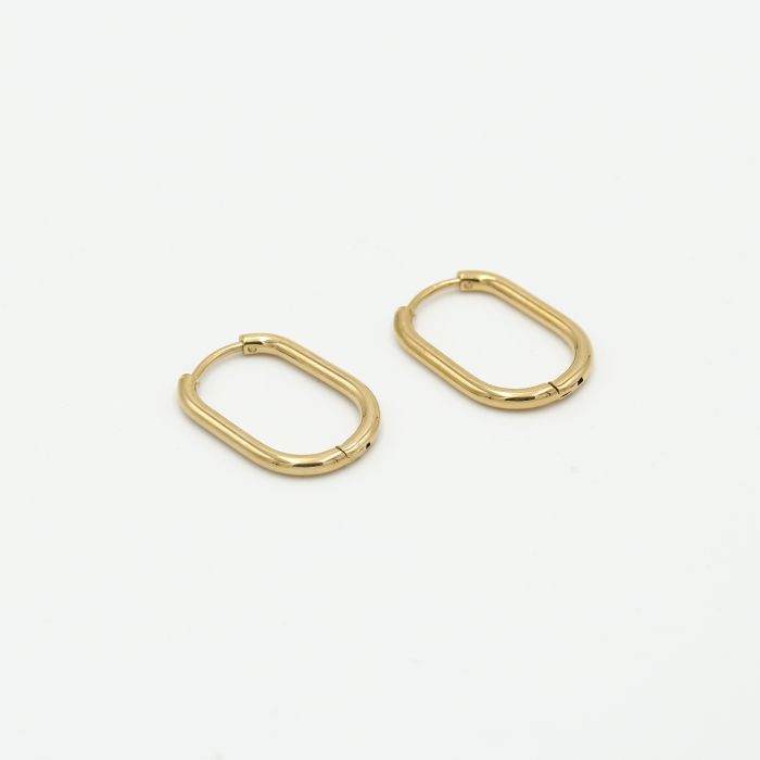 DYO premium ovalen oorbellen 2 cm goud - Desieradenconcurrent.nl