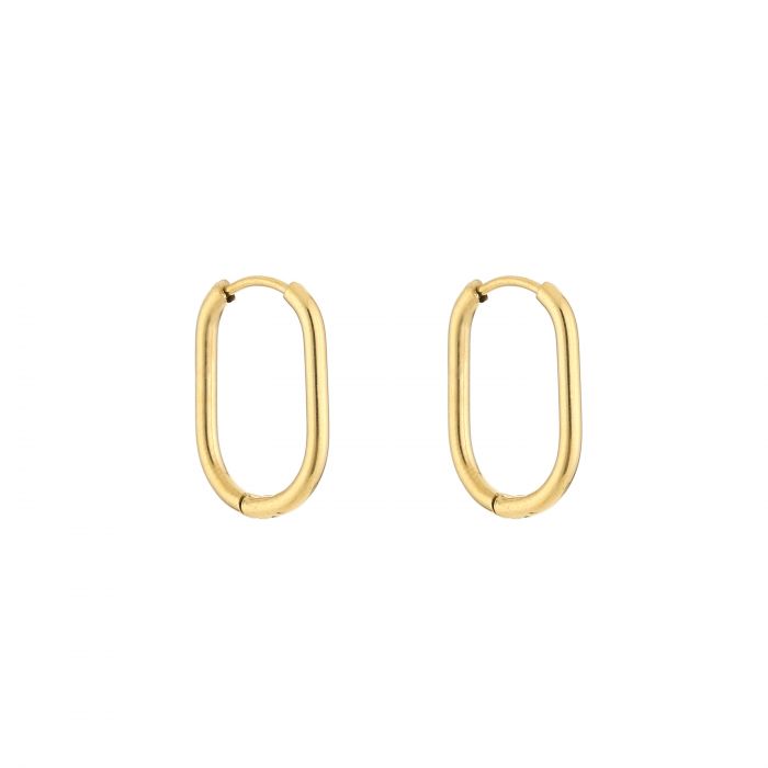 DYO premium ovalen oorbellen 2 cm goud - Desieradenconcurrent.nl