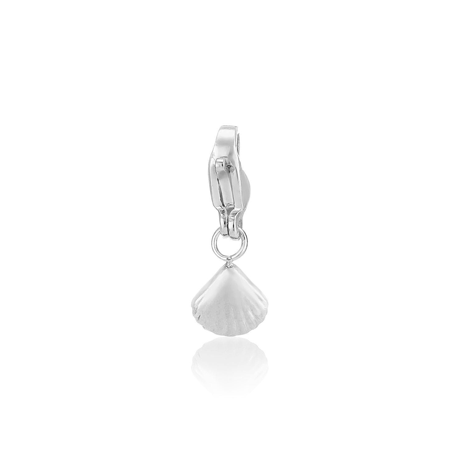 DYO Shell zilver - Desieradenconcurrent.nl