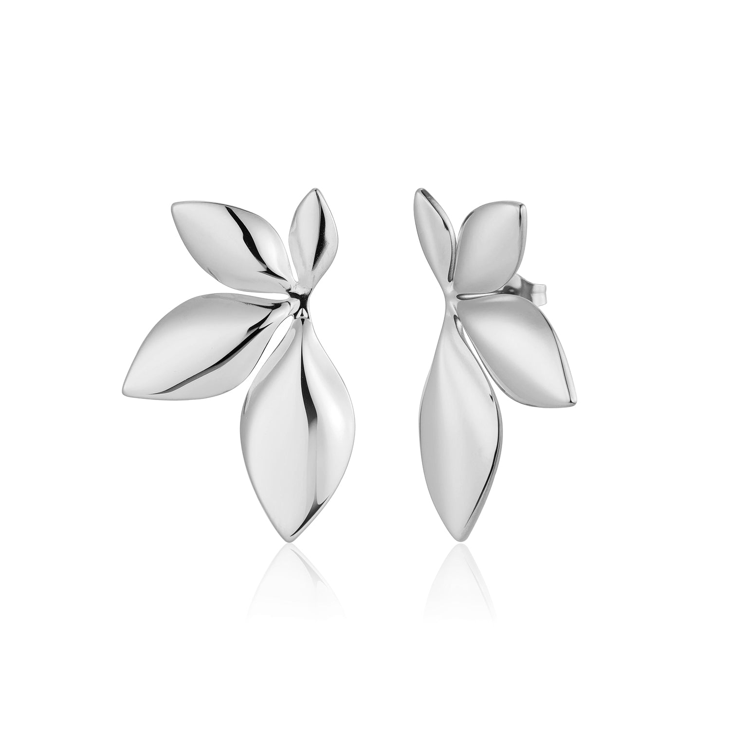 Oorstekers botanisch zilver - Desieradenconcurrent.nl