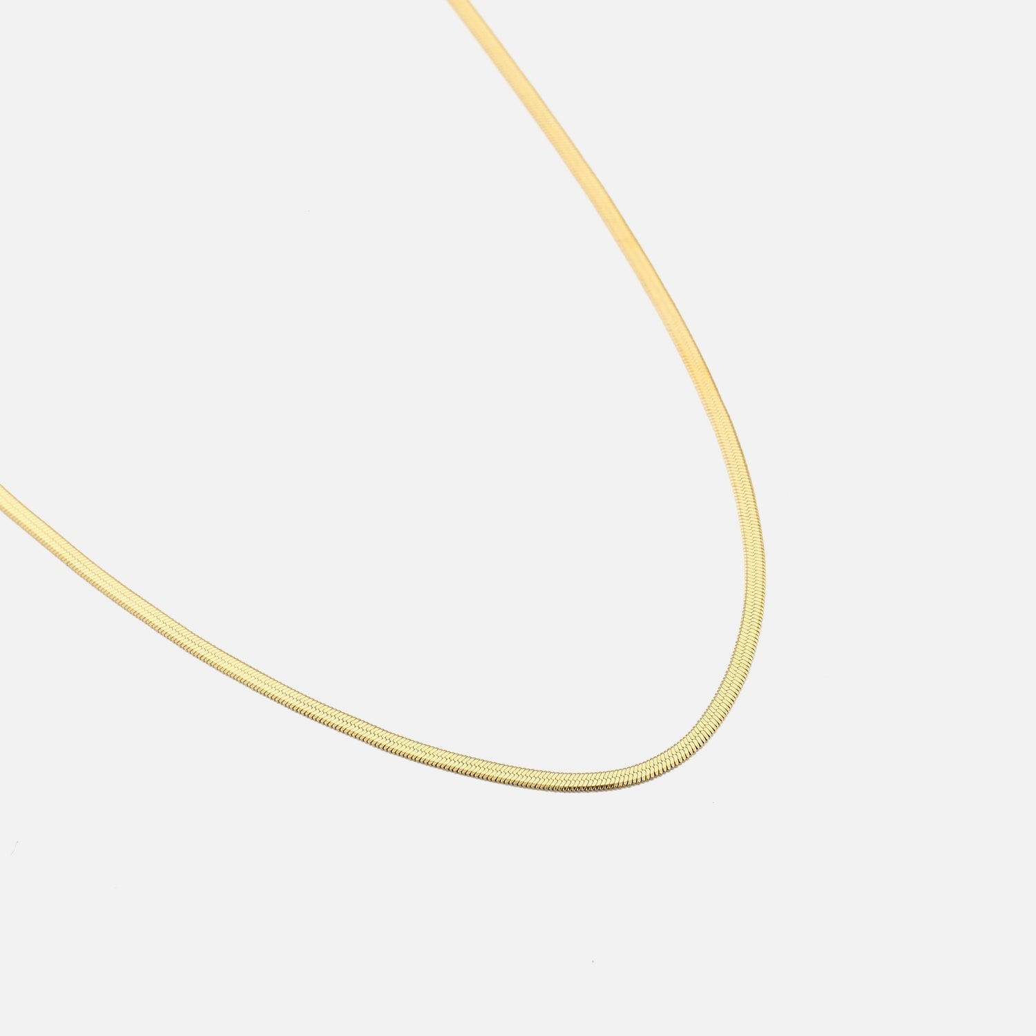 Platte ketting 2mm goud - Desieradenconcurrent.nl