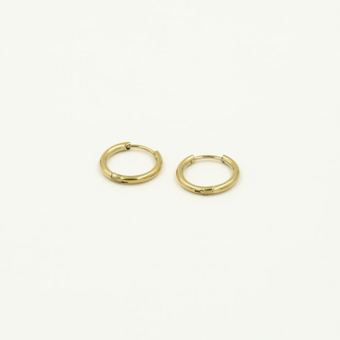 Basic ring oorbellen goud - Desieradenconcurrent.nl