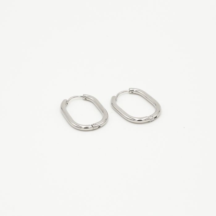 DYO premium ovalen oorbellen 2 cm zilver - Desieradenconcurrent.nl