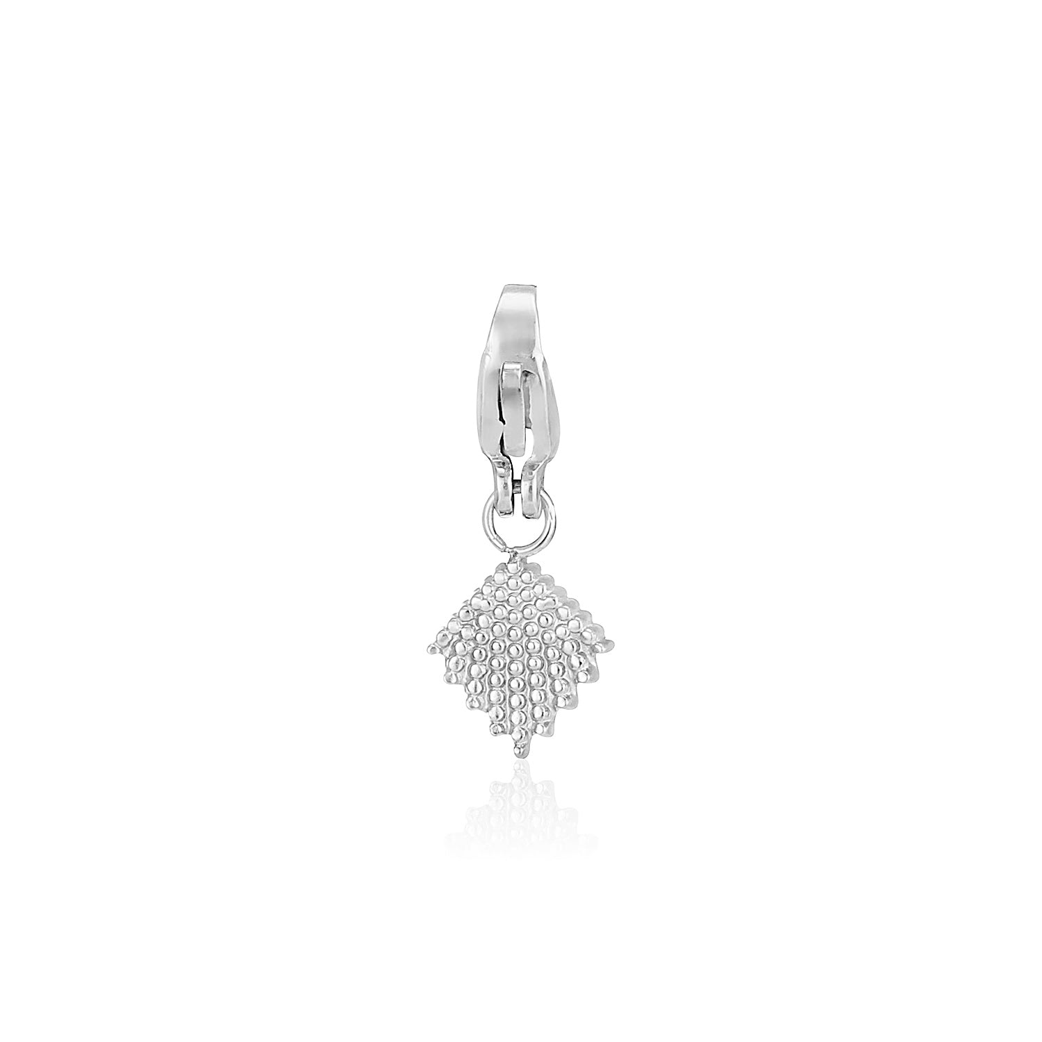 DYO Schelp lux zilver - Desieradenconcurrent.nl