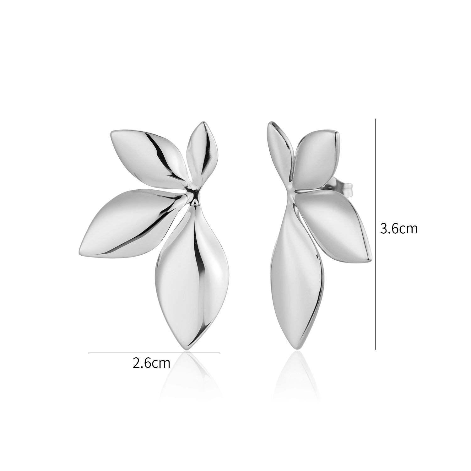 Oorstekers botanisch zilver - Desieradenconcurrent.nl